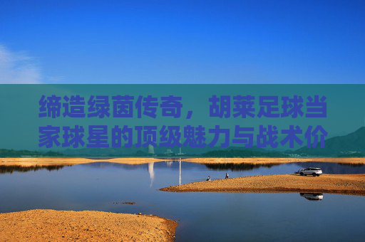 缔造绿茵传奇,胡莱足球当家球星的顶级魅力与战术价值