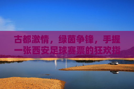 古都激情,绿茵争锋,手握一张西安足球赛票的狂欢指南