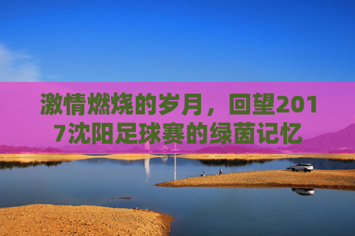 激情燃烧的岁月,回望2017沈阳足球赛的绿茵记忆