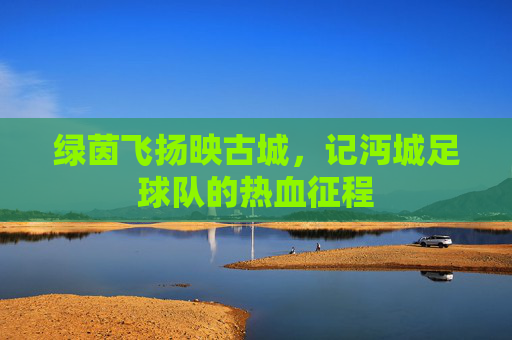 绿茵飞扬映古城,记沔城足球队的热血征程
