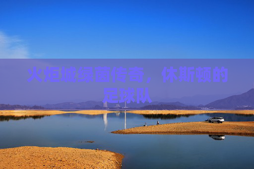 火炬城绿茵传奇,休斯顿的足球队