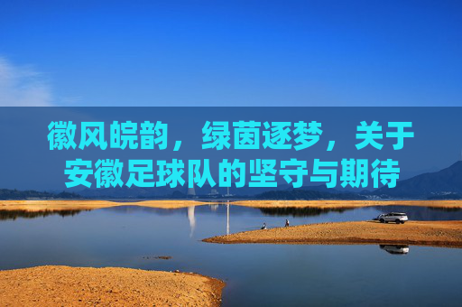 徽风皖韵,绿茵逐梦,关于安徽足球队的坚守与期待