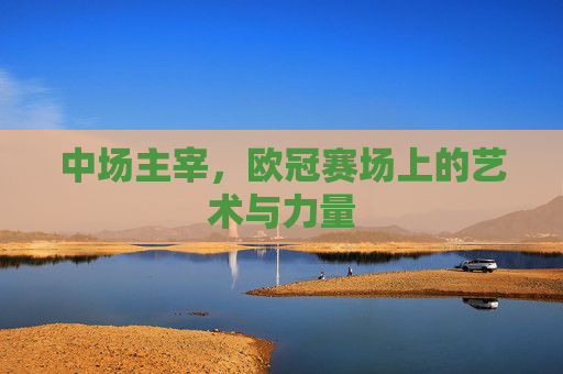 中场主宰,欧冠赛场上的艺术与力量