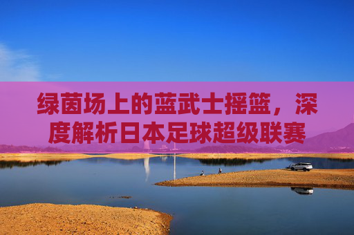 绿茵场上的蓝武士摇篮,深度解析日本足球超级联赛