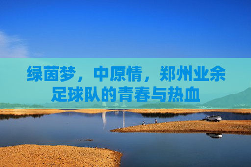 绿茵梦,中原情,郑州业余足球队的青春与热血