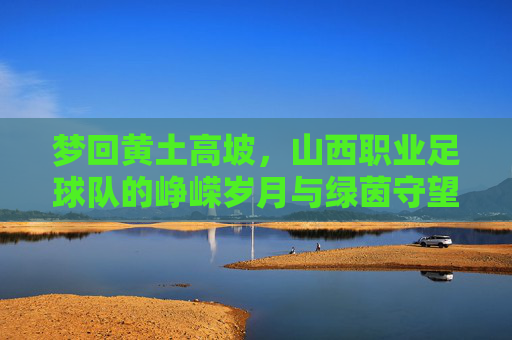 梦回黄土高坡,山西职业足球队的峥嵘岁月与绿茵守望
