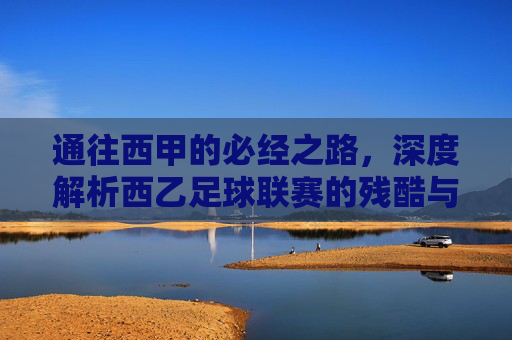 通往西甲的必经之路，深度解析西乙足球联赛的残酷与魅力