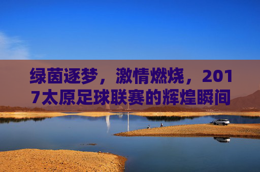 绿茵逐梦,激情燃烧,2017太原足球联赛的辉煌瞬间