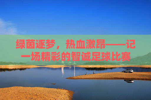 绿茵逐梦，热血激昂——记一场精彩的智诚足球比赛