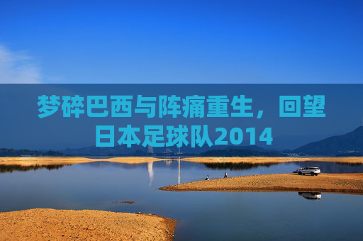 梦碎巴西与阵痛重生,回望日本足球队2014