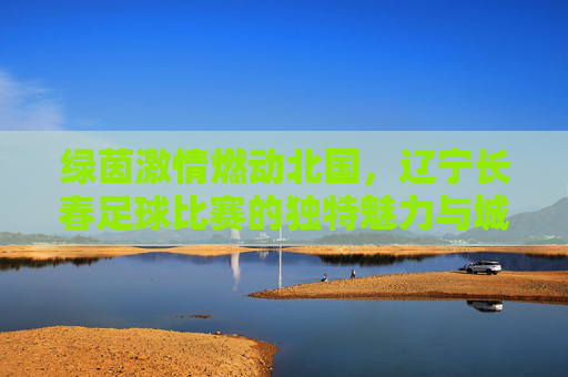 绿茵激情燃动北国,辽宁长春足球比赛的独特魅力与城市记忆
