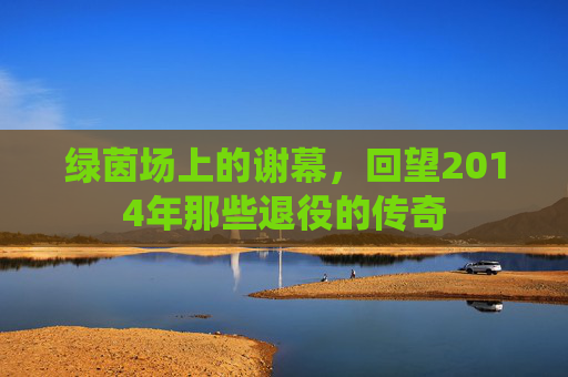 绿茵场上的谢幕,回望2014年那些退役的传奇