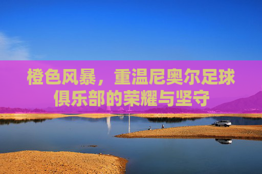 橙色风暴,重温尼奥尔足球俱乐部的荣耀与坚守