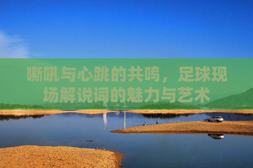 嘶吼与心跳的共鸣,足球现场解说词的魅力与艺术
