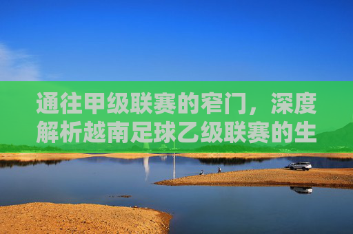 通往甲级联赛的窄门，深度解析越南足球乙级联赛的生存法则与未来图景