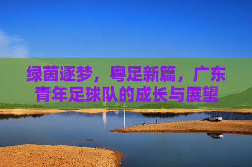 绿茵逐梦，粤足新篇，广东青年足球队的成长与展望