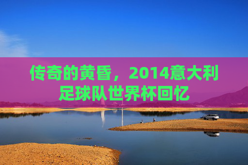 传奇的黄昏,2014意大利足球队世界杯回忆
