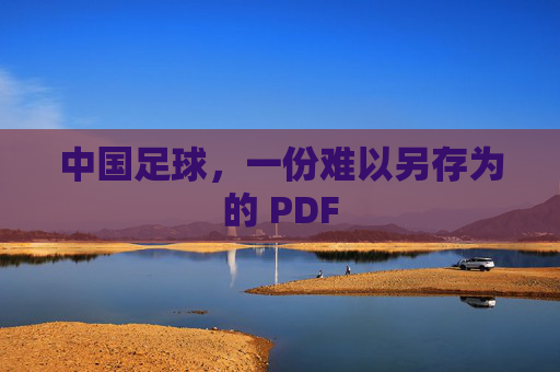 中国足球,一份难以另存为的 PDF