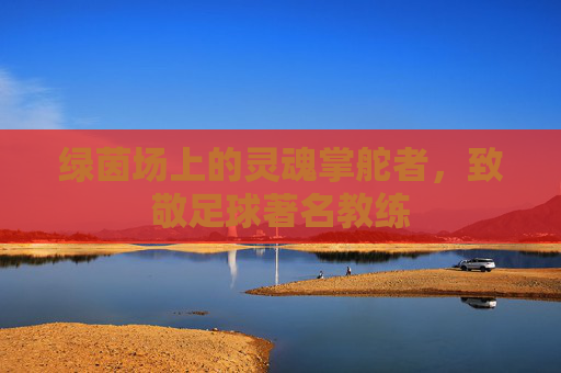 绿茵场上的灵魂掌舵者，致敬足球著名教练
