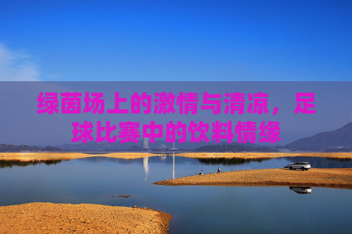 绿茵场上的激情与清凉,足球比赛中的饮料情缘