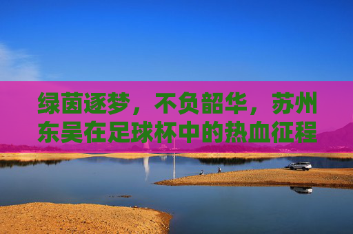 绿茵逐梦,不负韶华,苏州东吴在足球杯中的热血征程
