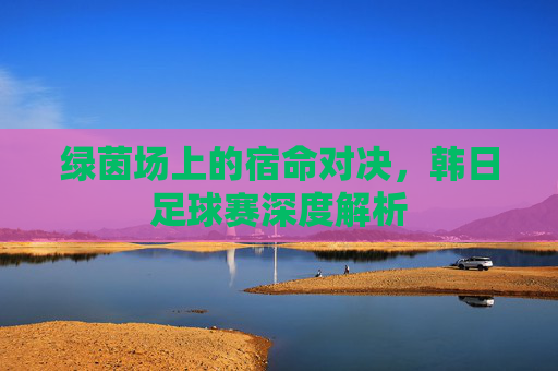 绿茵场上的宿命对决,韩日足球赛深度解析