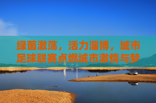 绿茵激荡,活力淄博,城市足球联赛点燃城市激情与梦想