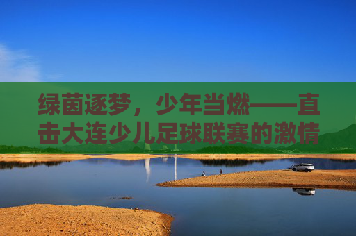 绿茵逐梦,少年当燃——直击大连少儿足球联赛的激情时刻