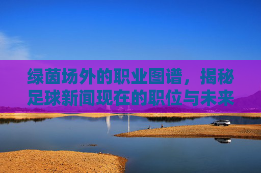 绿茵场外的职业图谱，揭秘足球新闻现在的职位与未来趋势