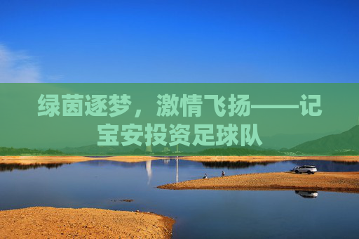绿茵逐梦，激情飞扬——记宝安投资足球队