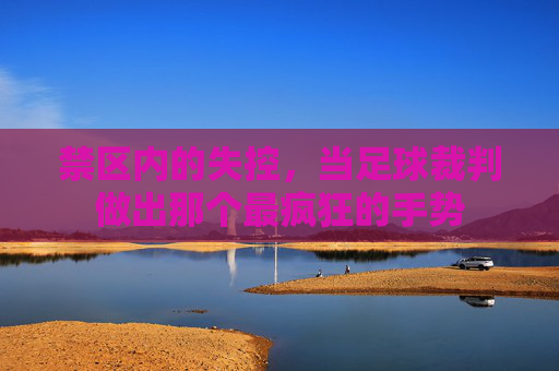 禁区内的失控，当足球裁判做出那个最疯狂的手势