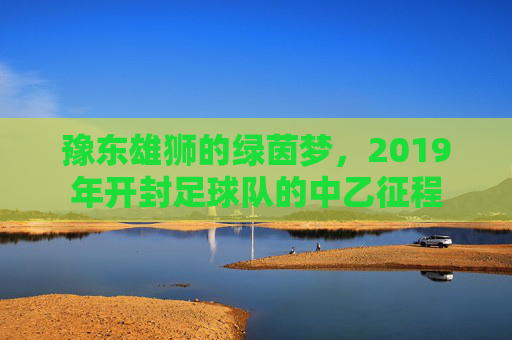 豫东雄狮的绿茵梦,2019年开封足球队的中乙征程