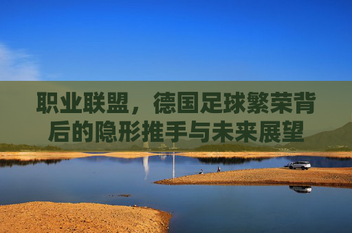职业联盟，德国足球繁荣背后的隐形推手与未来展望