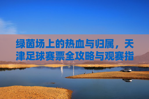 绿茵场上的热血与归属,天津足球赛票全攻略与观赛指南