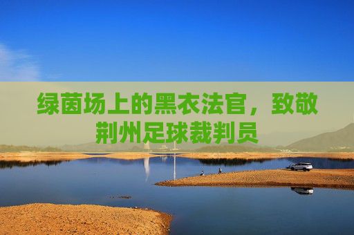 绿茵场上的黑衣法官,致敬荆州足球裁判员