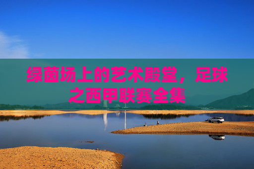 绿茵场上的艺术殿堂,足球之西甲联赛全集