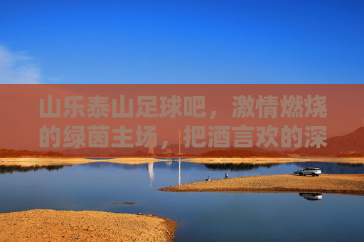 山乐泰山足球吧,激情燃烧的绿茵主场,把酒言欢的深夜归途