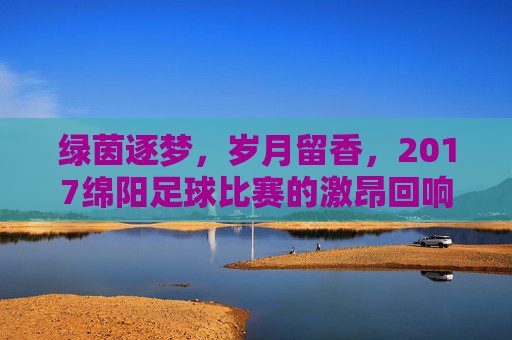 绿茵逐梦,岁月留香,2017绵阳足球比赛的激昂回响