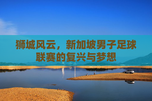 狮城风云，新加坡男子足球联赛的复兴与梦想