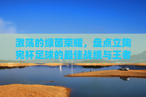 激荡的绿茵荣耀，盘点立陶宛杯足球的最佳战绩与王者之路