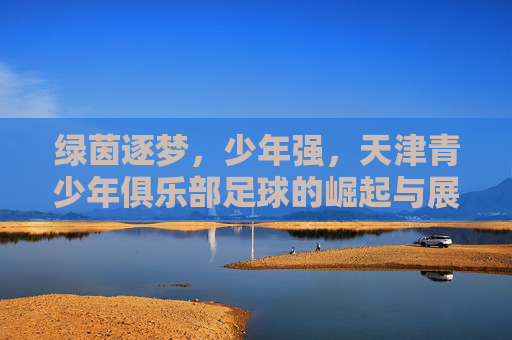 绿茵逐梦,少年强,天津青少年俱乐部足球的崛起与展望