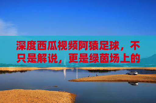 深度西瓜视频阿猿足球,不只是解说,更是绿茵场上的战术教科书