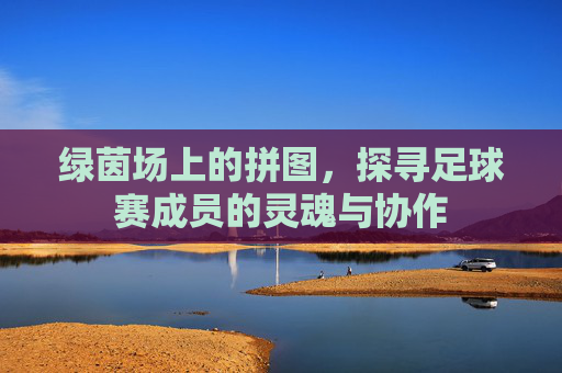 绿茵场上的拼图,探寻足球赛成员的灵魂与协作