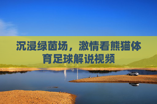 沉浸绿茵场,激情看熊猫体育足球解说视频