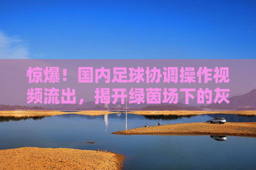 惊爆！国内足球协调操作视频流出，揭开绿茵场下的灰色地带