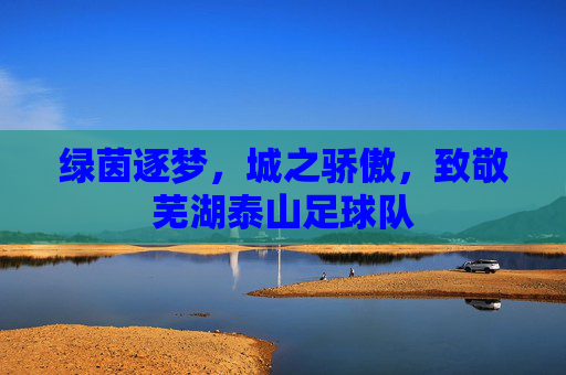 绿茵逐梦,城之骄傲,致敬芜湖泰山足球队