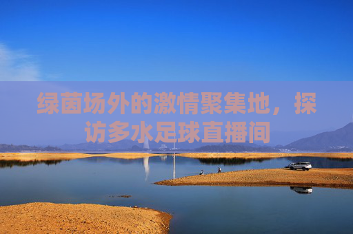 绿茵场外的激情聚集地,探访多水足球直播间