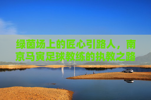 绿茵场上的匠心引路人，南京马寅足球教练的执教之路