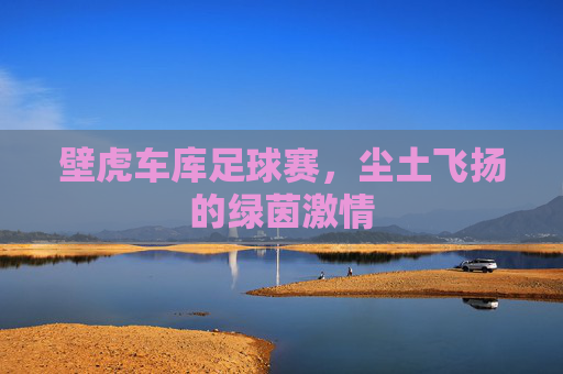 壁虎车库足球赛,尘土飞扬的绿茵激情