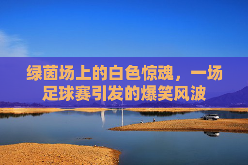 绿茵场上的白色惊魂,一场足球赛引发的爆笑风波